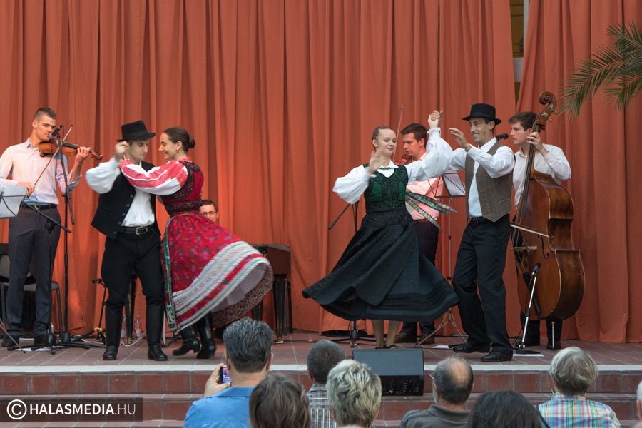 Nyáresti muzsikaszó (galériával)