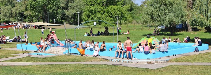 Halas is ott van a jelöltek közt