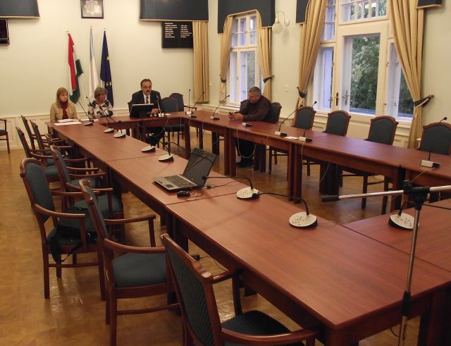 Testületi egy képviselővel