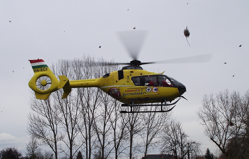 Életveszély: kerti tóba esett a kisgyermek