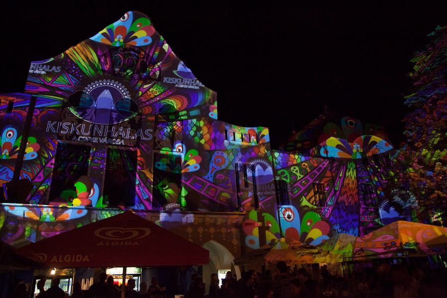 Kiskunhalas a Család-barátban