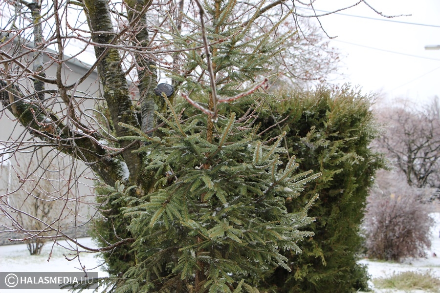 Januárig ne tegyük utcára!