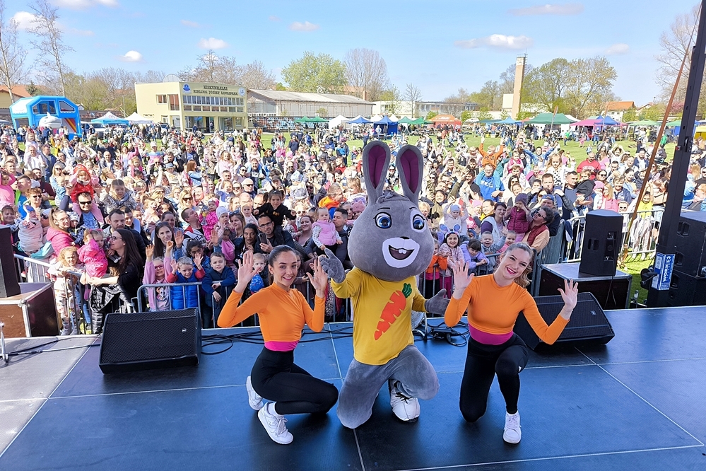 (►) Egy remek délelőtt Brandnyúllal