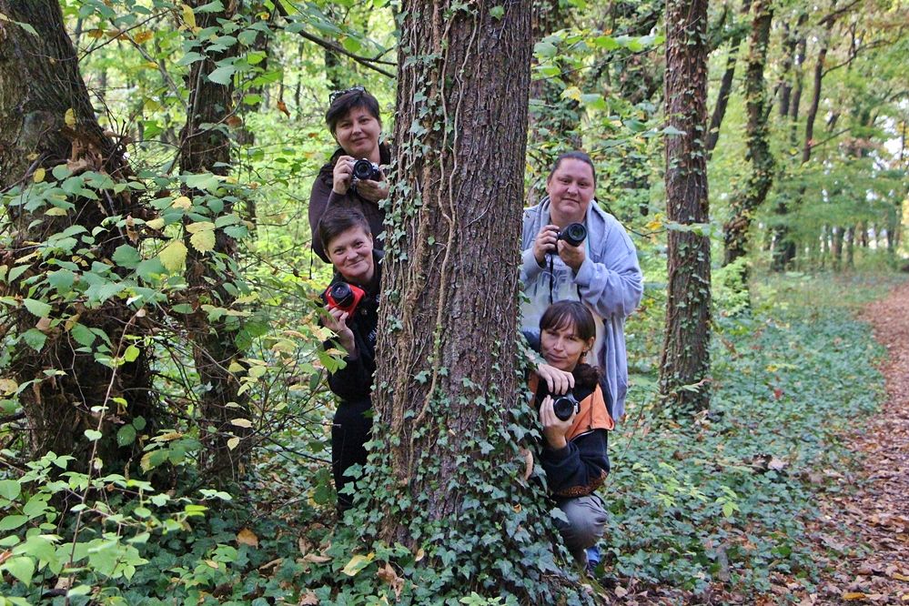 Négyféleképp látják a világot