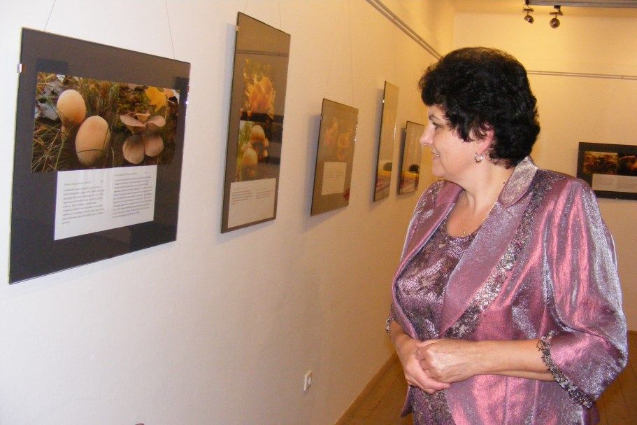 Gombás képek és ételek