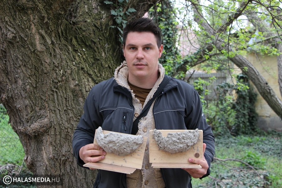 Fészkeket óvnak, építenek