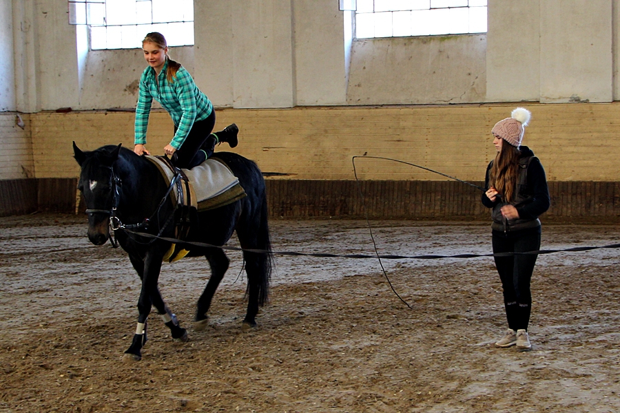 Lovastorna edzések Halason (galériával)