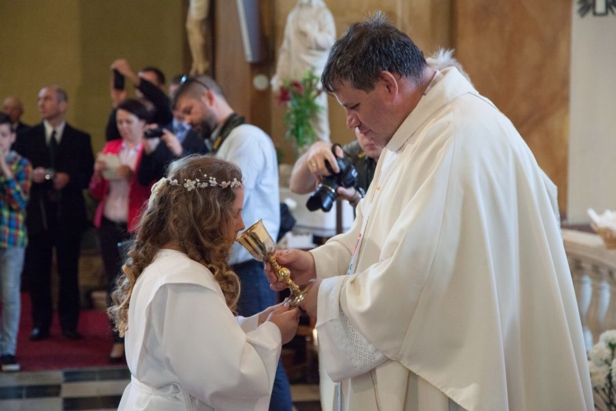 Elsőáldozók vasárnapja