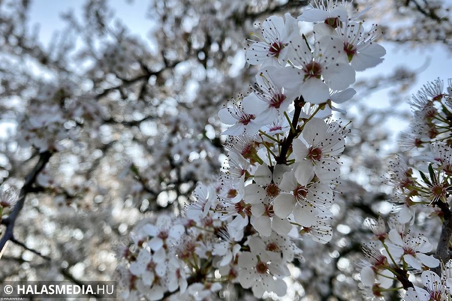 Alkosson, pályázzon, nyerjen