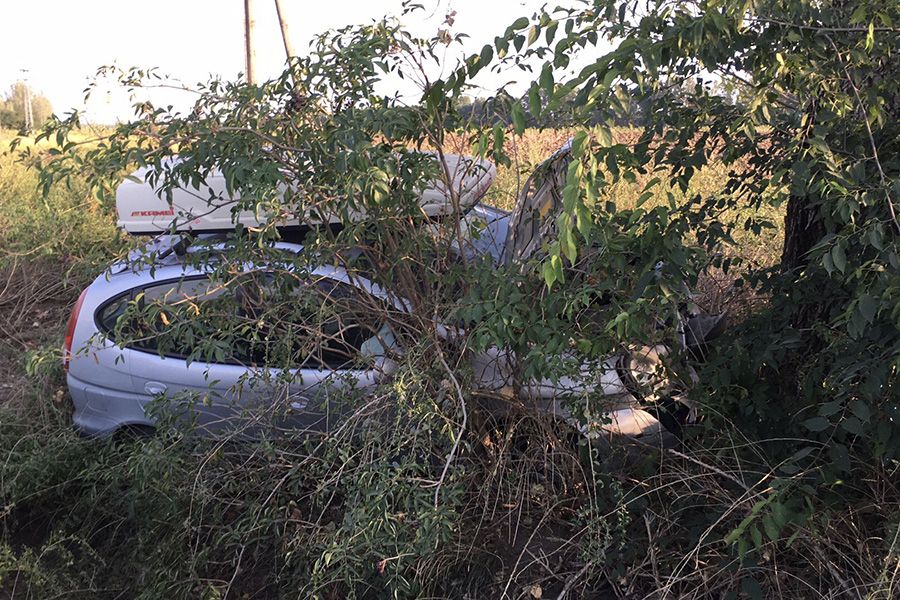 Fának ütközött egy autó a majsai úton (galéria)