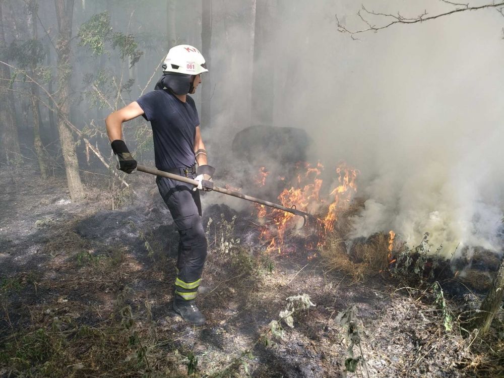 Több avartűzzel küzdenek a halasi tűzoltók