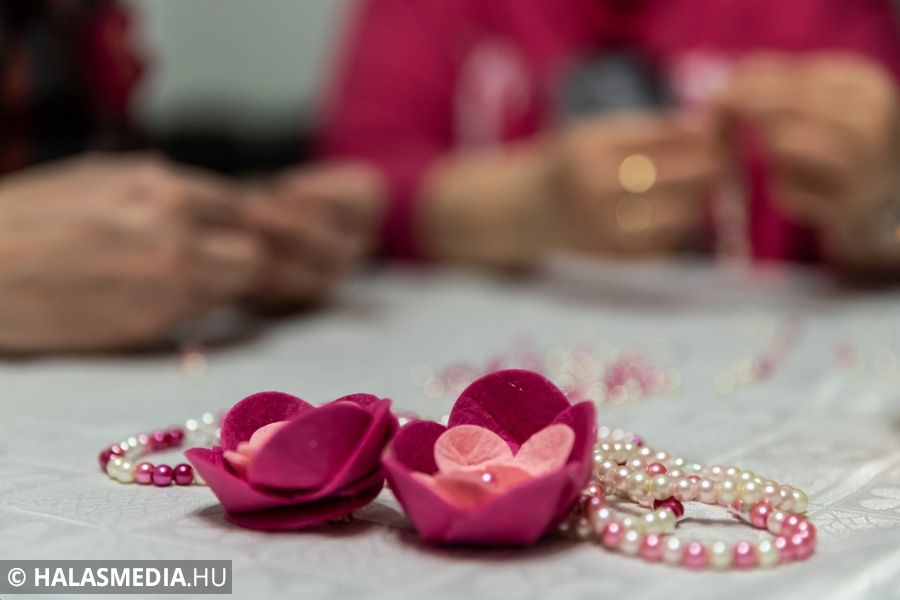 Egészségőr Forrás-klub (galéria)