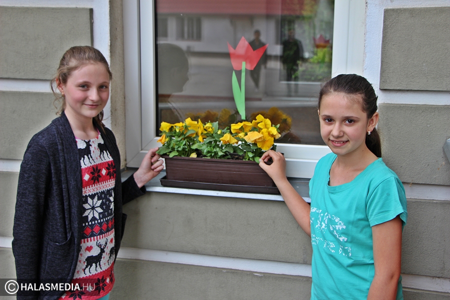 Összefogás a Földünkért