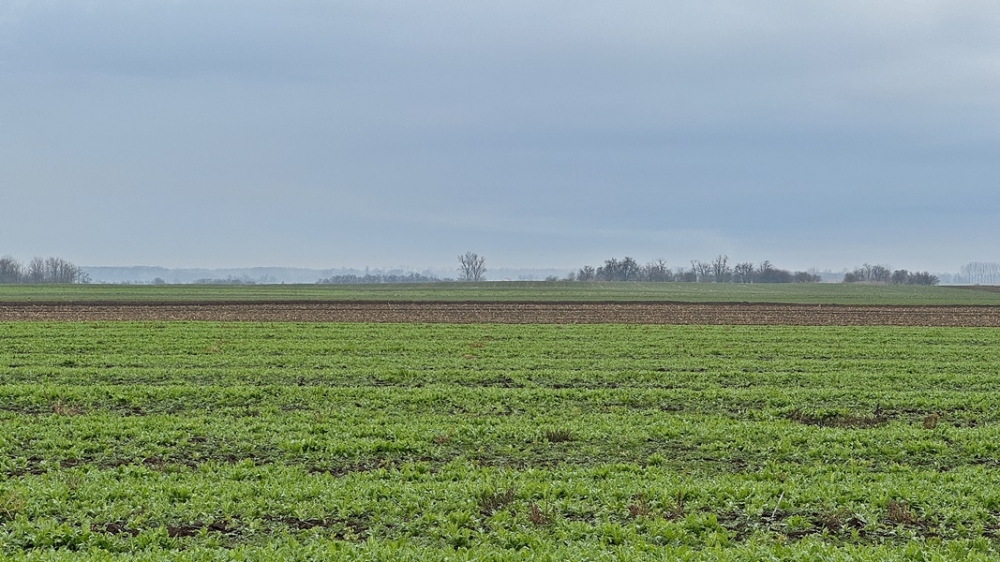 (►) Az agrárpetíció kitöltését szorgalmazza a gazdakör elnöke