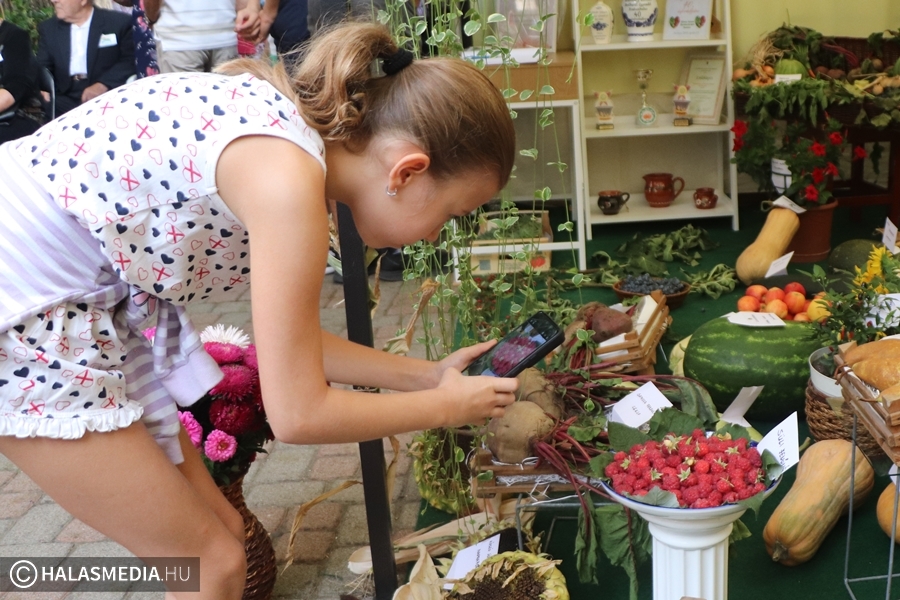 Kertbarát-kiállítás, díjátadóval (galéria)