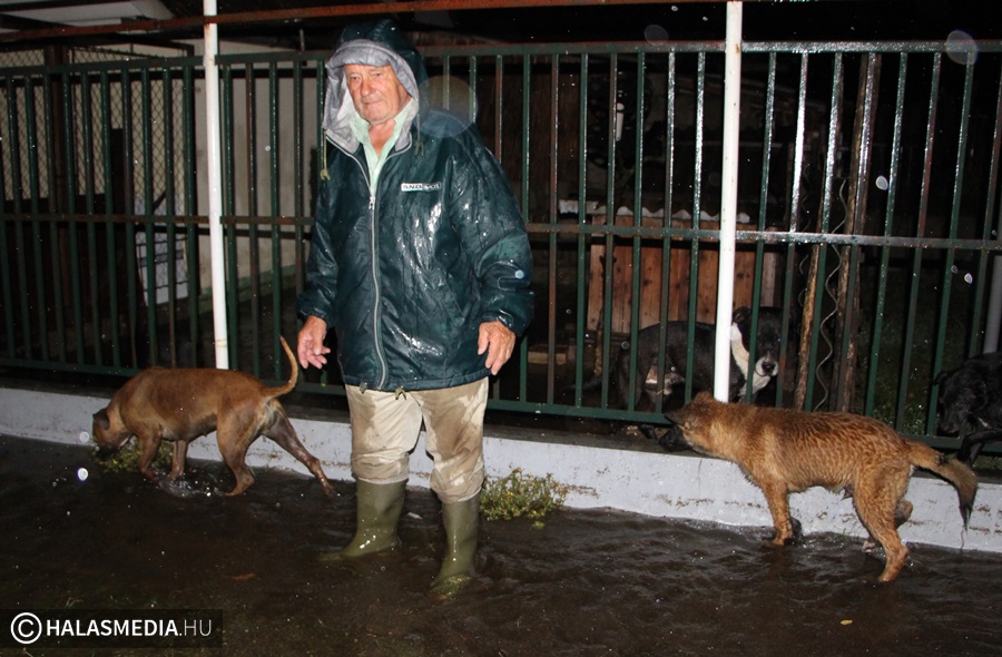 Özönvíz Halason, munkában a tűzoltók