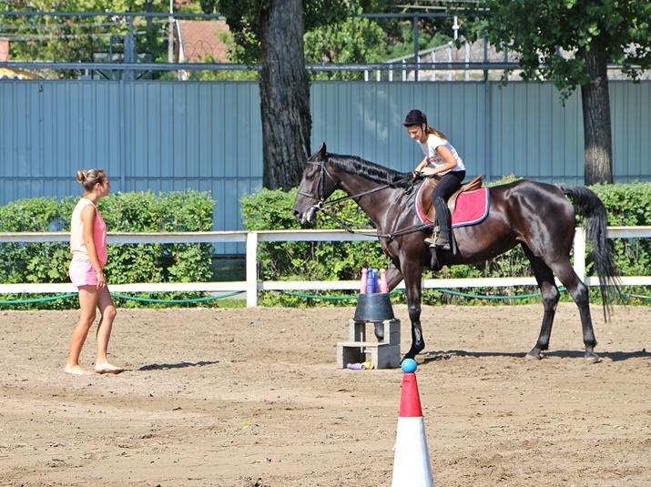 Lovastáborba várják a gyermekeket