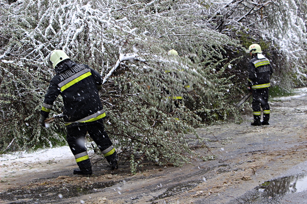 Áprilisi tavasz, hová bújtál? (cikkünk folyamatosan frissül)