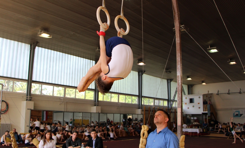 Hazai aranyérmek a Fazekas Kupán