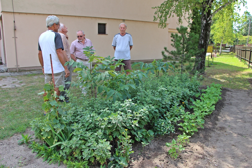 Nem voltak könnyű helyzetben a kerttulajok