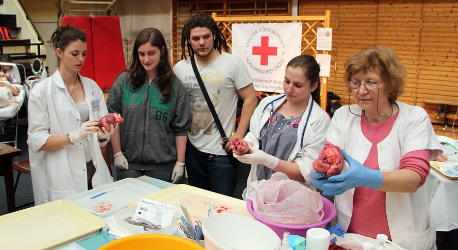Bemutatkozott a Humán Szakképző