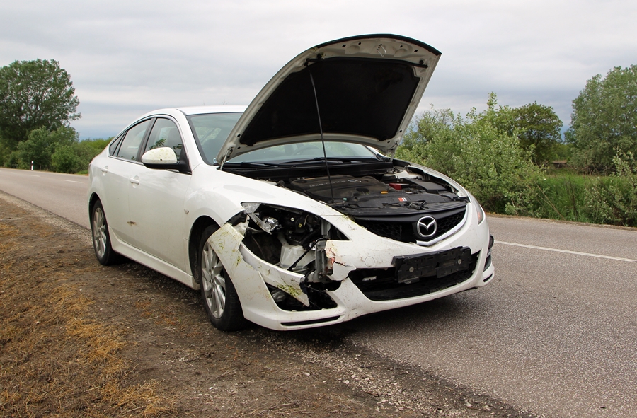 Őzzel ütközött a fehértói úton