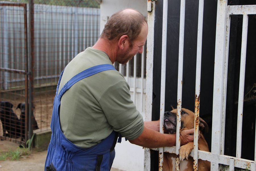 Megújult a gyepmesteri telep (galériával)