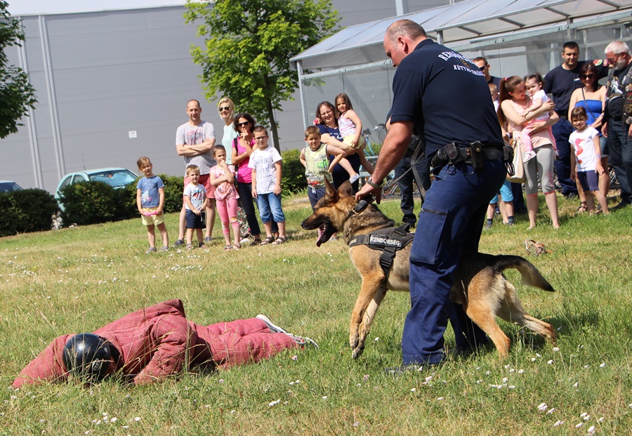 Bűnmegelőzés, bemutatókkal