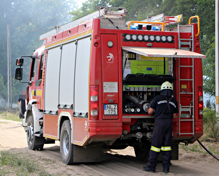 Égett az erdő aljnövényzete