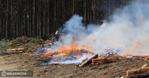 Öt vízsugárral oltották a tüzet