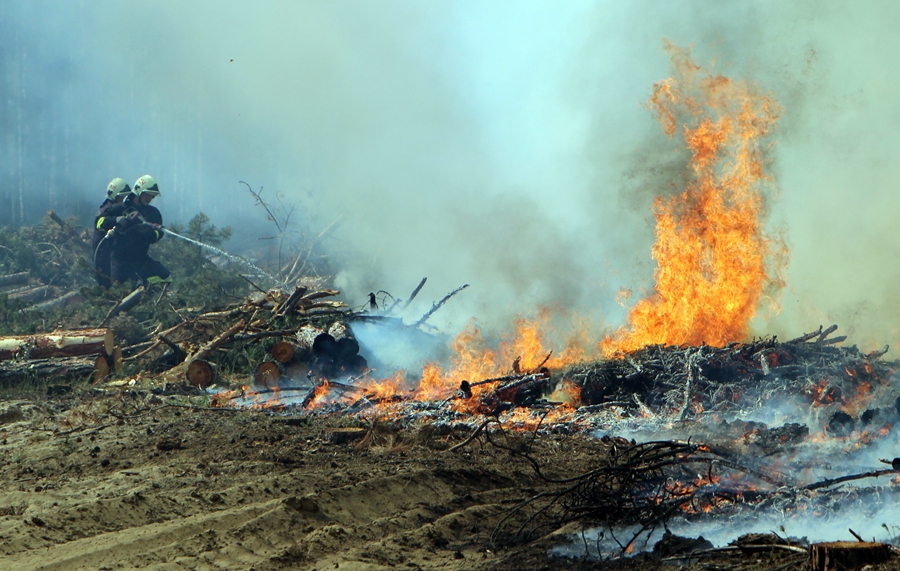 Vágási hulladék égett, több hektáron