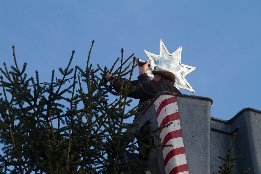 Készül Halas karácsonyfája