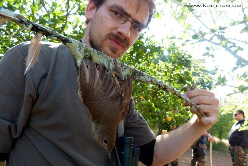 Zöld akciók, állatmentések