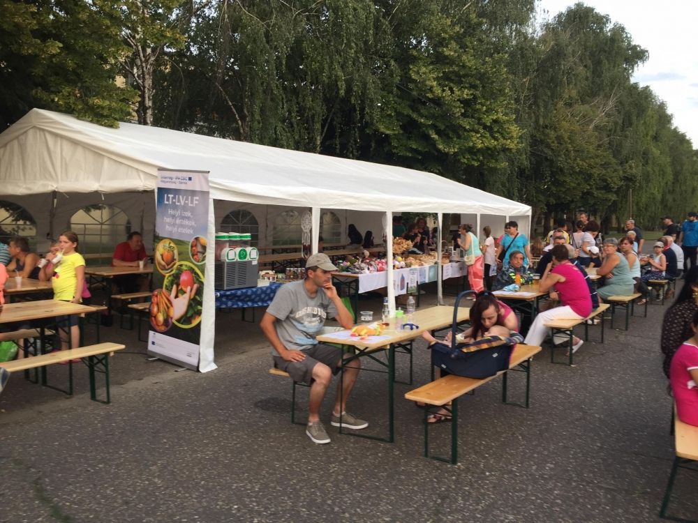 ÚJ PROJEKTTEL FOLYTATÓDIK AZ INTERREG IPA PROGRAM BÁCSALMÁSON