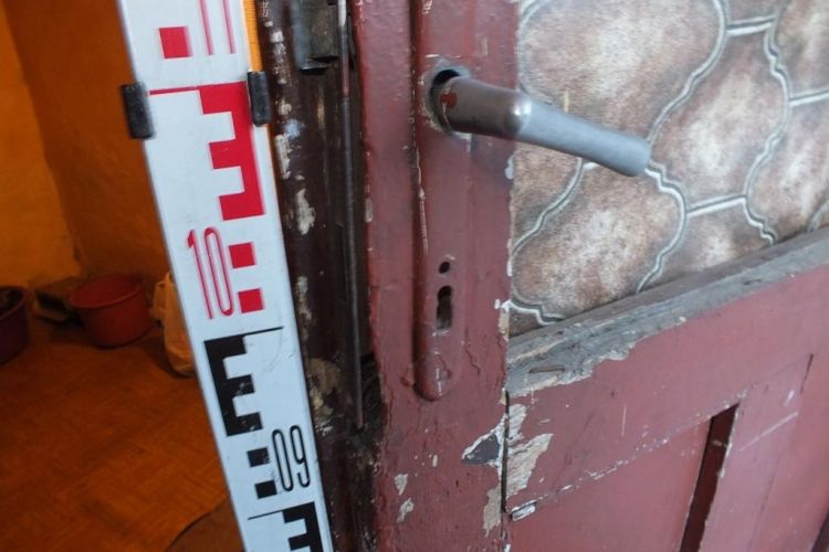 Képzeljék, citromfákat (is)  lopott