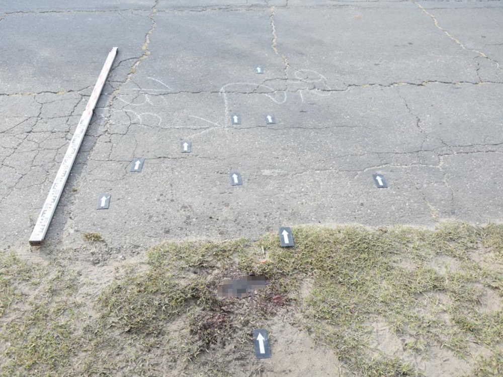 Gondatlan volt a kutya gazdája: amputálni kellett a megtámadott nő karját