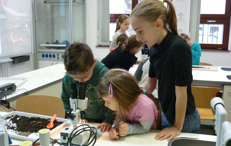 Közösen „komposztálnak” a sziládys intézmények