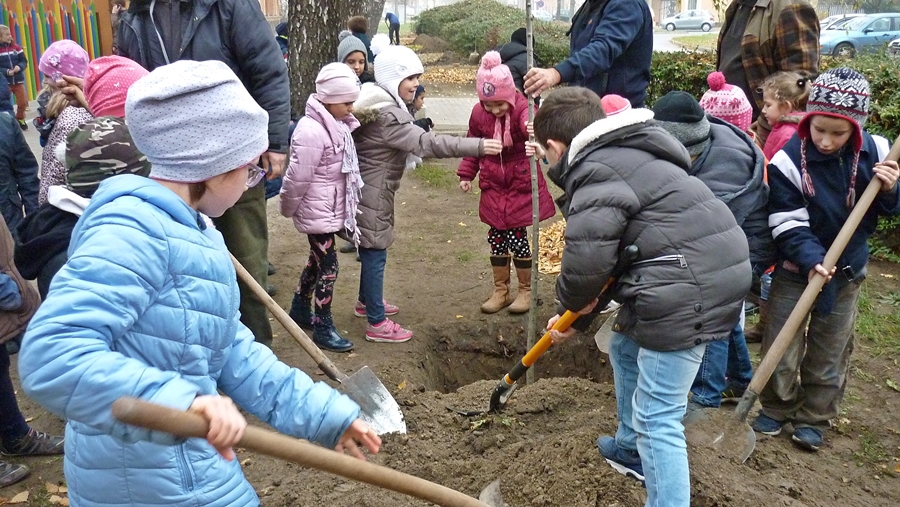 Fát ültettek az elsősök