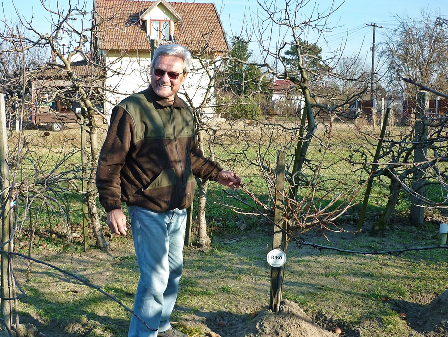 Ilyen hatással van a tavaszias idő a mezőgazdaságra