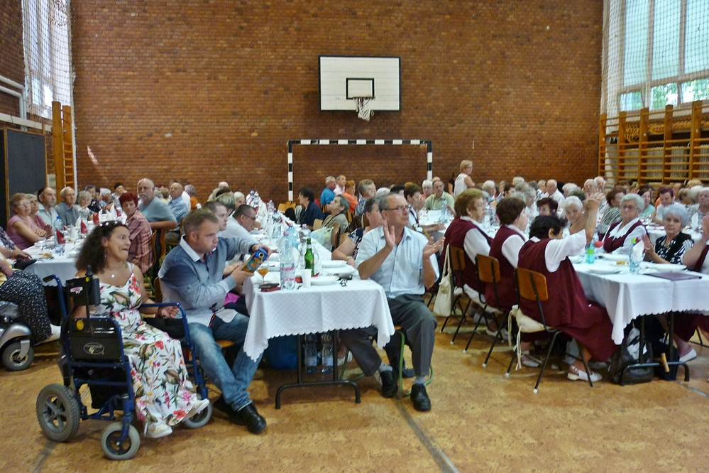 Mozgáskorlátozottak regionális napja