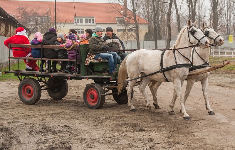 Lovas Mikulás