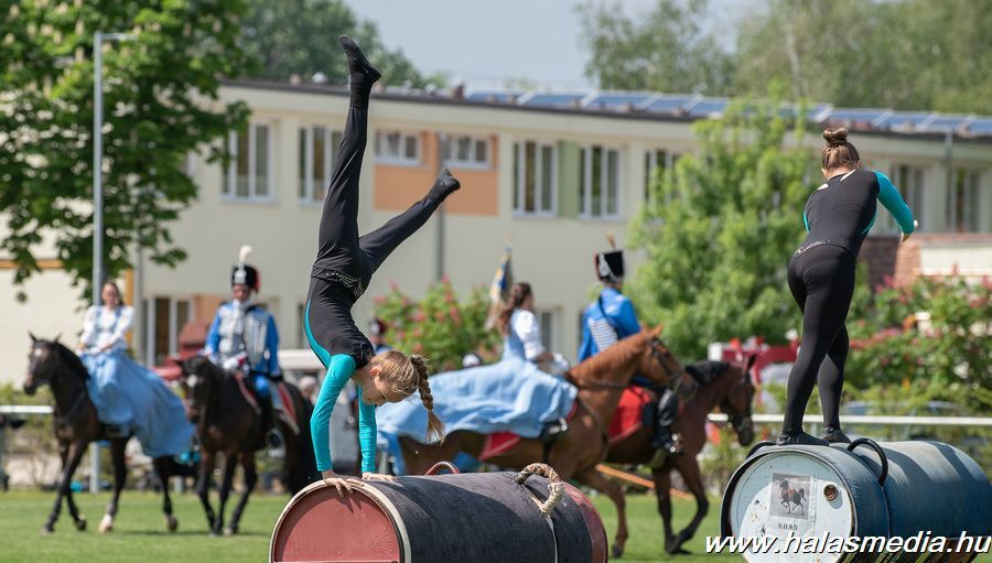 Lovas majális szombaton
