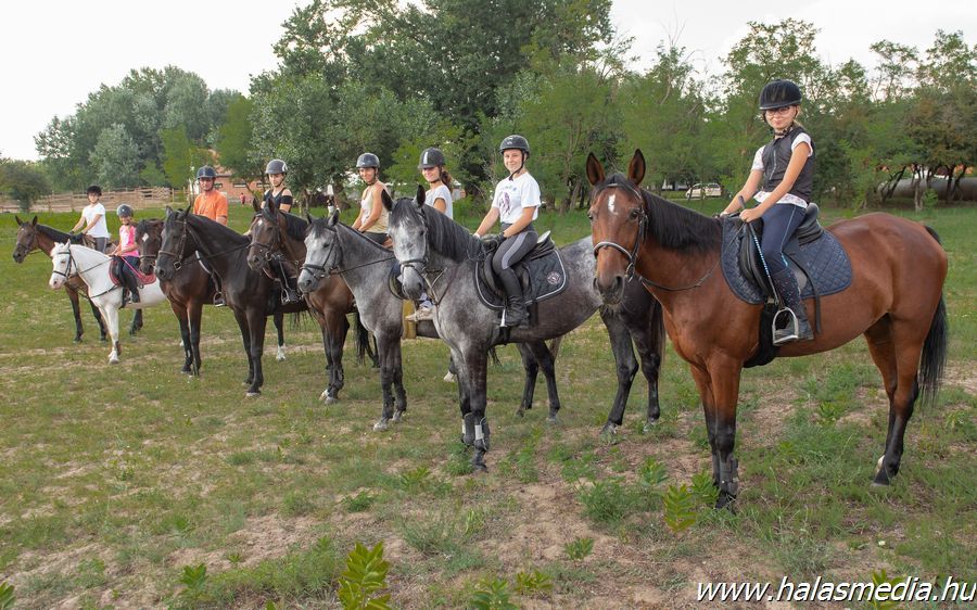 Népszerű a lovas tábor Pirtón