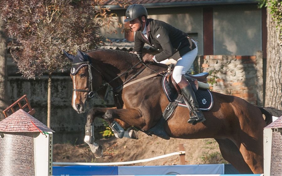 Lovas aranyak fedett pályán