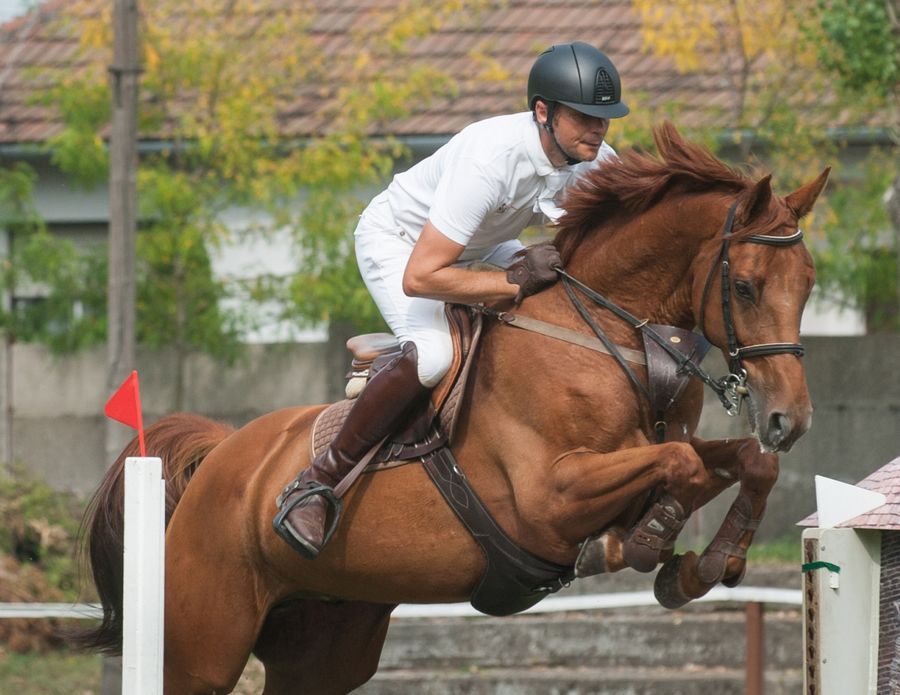 Lovasaink sikere Kecskeméten