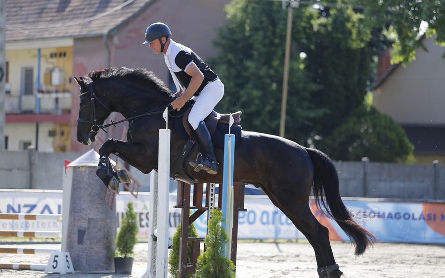 Díjugratás: érmes halasi helyezések a minősítő első napján (galéria)