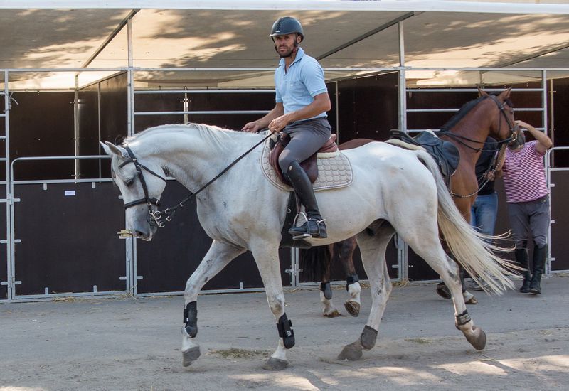 Megint Halason a lovas élvonal