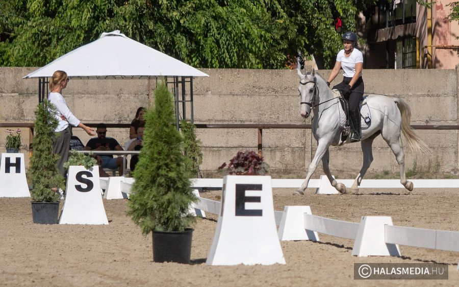 (►) Díjlovagló régiós döntő Halason a hétvégén