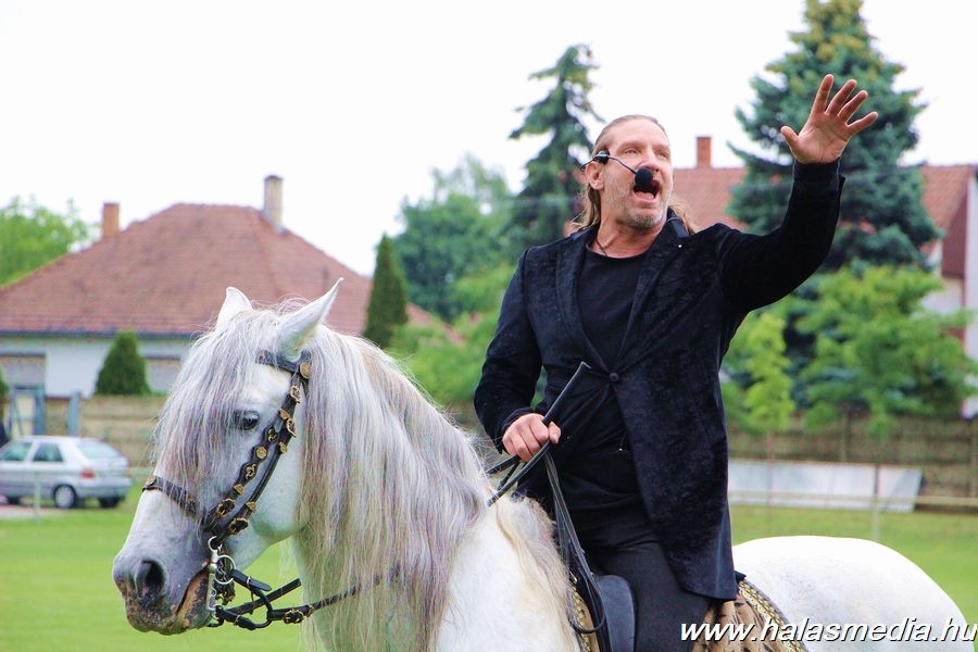 Ünnep megyei díjugrató döntőkkel (galéria)