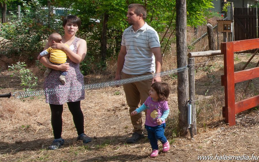 Pestet cserélték a tanyasi romantikára
